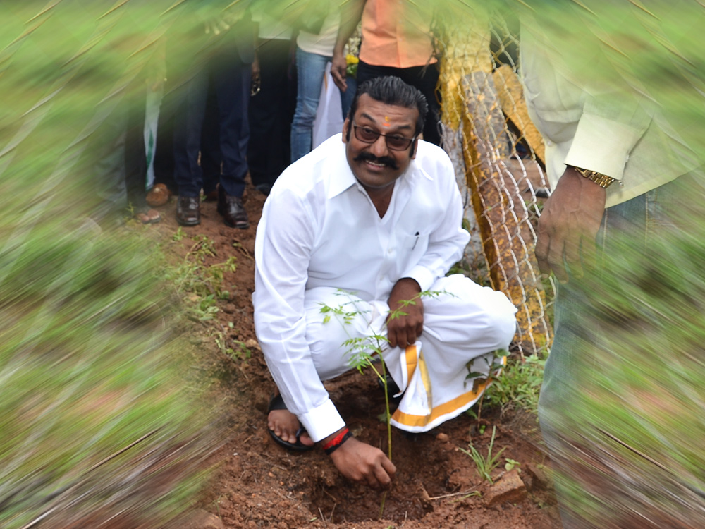 Tree planting at Mayopathy